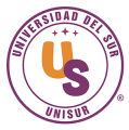 Universidad del Sur